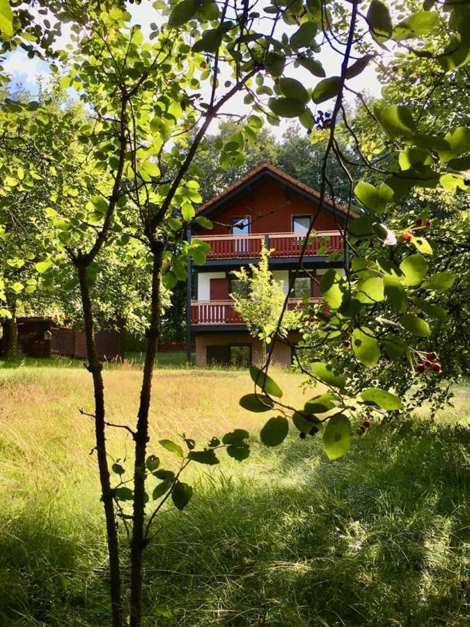 Villa Ferienhaus Rhöner Wohnen Hilders Exterior foto